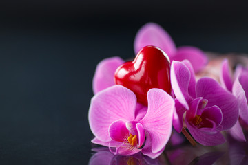 Phalaenopsis branch with a red heart