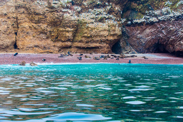 Peru,South America, coast at Paracas National Reservation