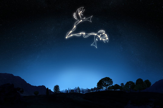 Zodiac Sign Pisces . Part of a Zodiac series