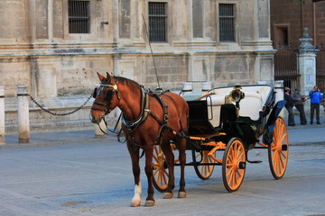 Obraz na płótnie Canvas horse and traditional tourist carriage in Sevilla stock, photo, photograph, image, picture, 