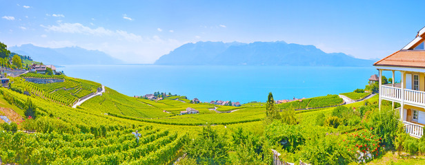 Panorama of vineyards in Lavaux region against Geneva lake