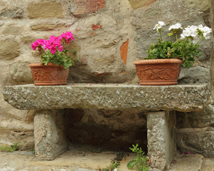 flowerpots with colorful geranium plants in ceramic boxes