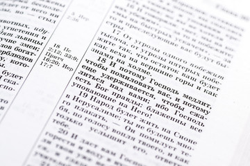 Fototapeta premium page book Bible