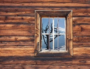 Baum im Holzfenster