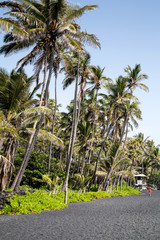 Fototapeta premium Hawaii - Big Island - Punalu'u Black Sand Beach