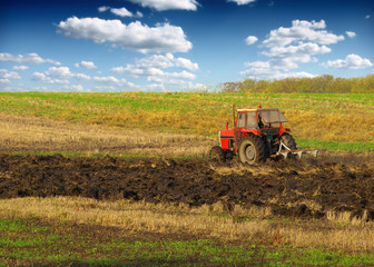 Red Tractor Plowing in Autumn