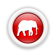 Elephant icon