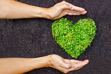 hands holding green heart shaped tree
