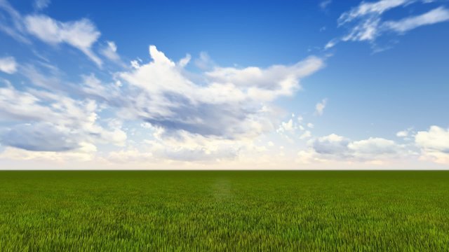 green field and blue sky - cg animation