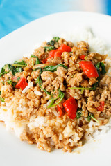 stir fried ground pork in holy basil