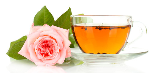 cup of tea with rose isolated on white