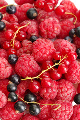 ripe berries, close up.