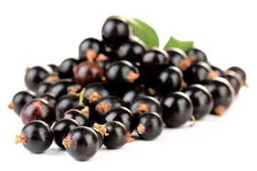 Black currant isolated on white