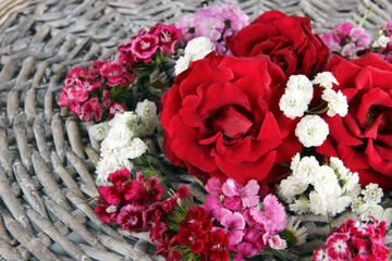 Rosie and wildflowers on wicker wooden background