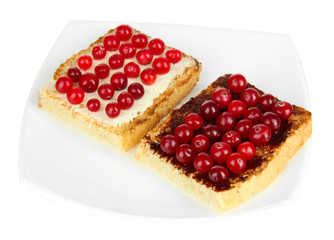 Delicious toast with cranberries isolated on white