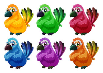 A group of angry birds