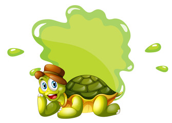 A turtle at the bottom of an empty template