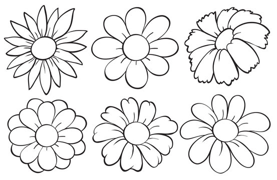 Flowers in doodle design