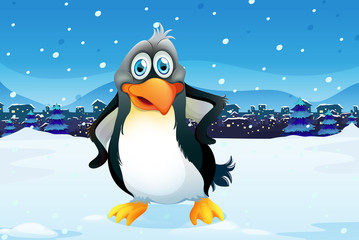 A penguin across the village