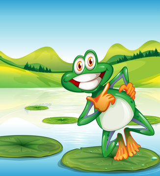 A happy frog standing above the waterlily