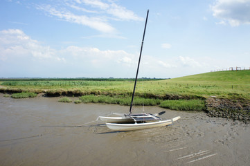 Ebbe