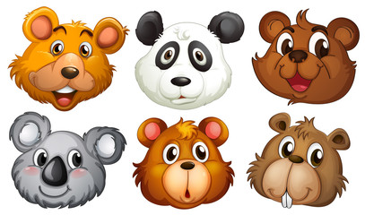 Six heads of bears