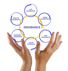 woman presenting insurance diagram
