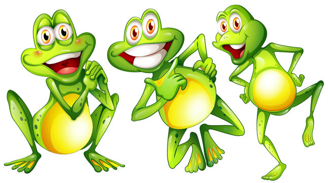 Three smiling frogs