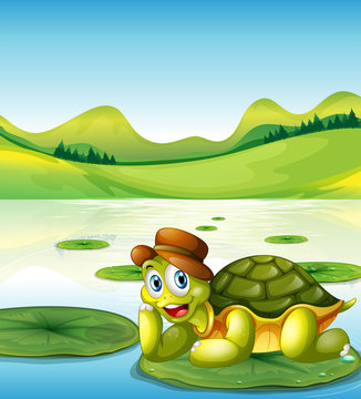 A happy turtle above the floating waterlily