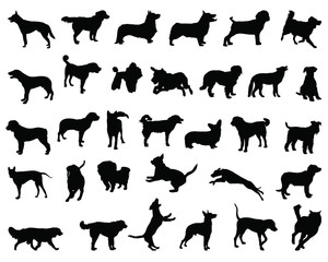 Black silhouettes of dog breeds, vector - obrazy, fototapety, plakaty
