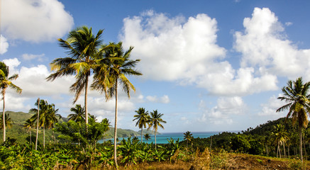 Fototapeta na wymiar Karaiby: Samotna piękna plaża na Samana :)