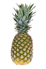 Fototapeta premium pineapple