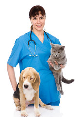 Fototapeta na wymiar veterinarian with cat and dog. isolated on white background
