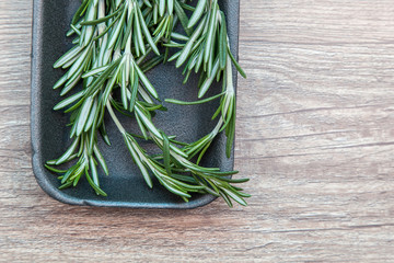 rosemary in a tray on the table