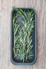 rosemary in a tray on the table