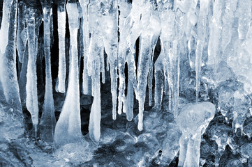 winter creek in the national park Sumava - Czech Republic
