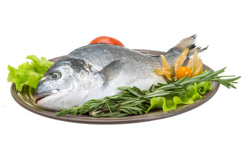 Raw dorado with herbs