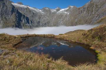 Milford track