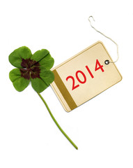 Kleeblatt mit Karte 2014
