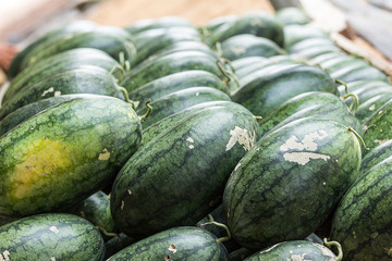 watermelon