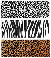 Naklejka premium Animal Skin Pattern set of leopard zebra, panter