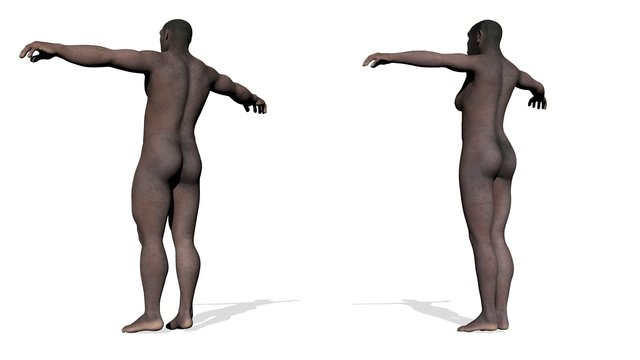 Homo erectus male and female - 3D render