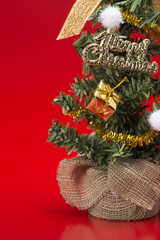 赤色の背景にクリスマスツリーのアップ