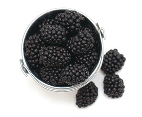 blackberries in a bucket isolated on white background