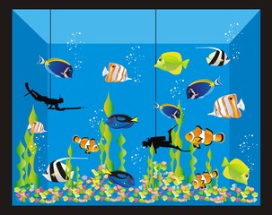 Obraz premium Acuario_4