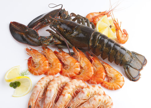 seafood