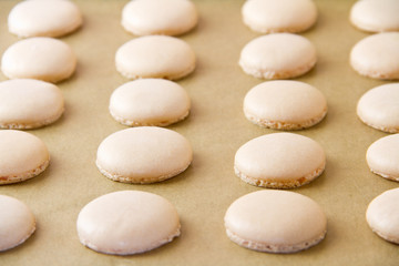 Fototapeta na wymiar Macaron shells on baking sheet