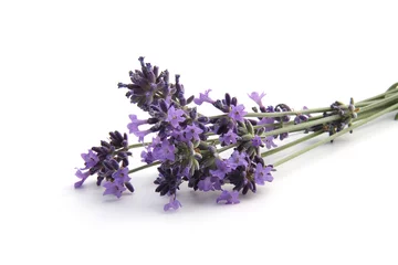 Deurstickers Lavendel lavendel