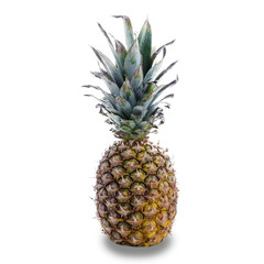 Fototapeta premium Pineapple isolated