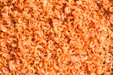 Small dry shrimps